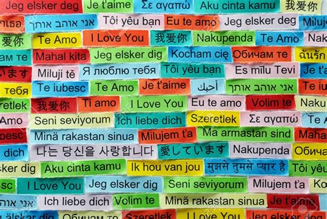 seni seviyorum her dilde